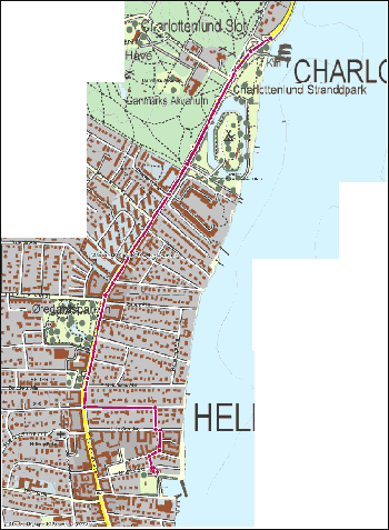 Rute